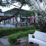 [7년 전 오늘] 주말여행 가평 비타민 펜션 정원의 야생화