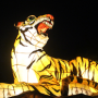 1,300년을 이어온 고유의 문화 행사 개최 @ 연등축제(부산)