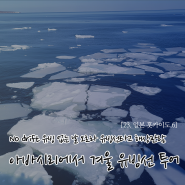 ['22 일본 홋카이도 6] 일본 아바시리에서 겨울 유빙선 투어, No drift 유빙 없는 날 오로라 유빙선타고 해상관람
