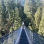 [캐나다 Canada] 노스 밴쿠버 (North Vancouver) 관광지 추천 "Capilano Suspension Bridge Park (캐필라노 서스펜션 브릿지 파크)"