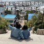 포항 아이와 여행코스 구룡포 일본인가옥거리와 구룡포과메기문화관