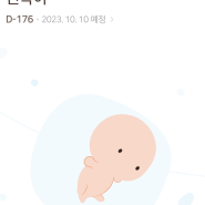 [임신9주~11주차]하리보 젤리곰/여전한 입덧/어지러움