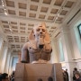 [영국 런던] 대영박물관 The British Museum, 2022.12.31