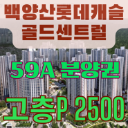 백양산롯데캐슬골드센트럴59A분양권 RR매물