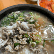 [여든하나] 울산 로컬인과 함께한 이색(?)국밥 하동식당