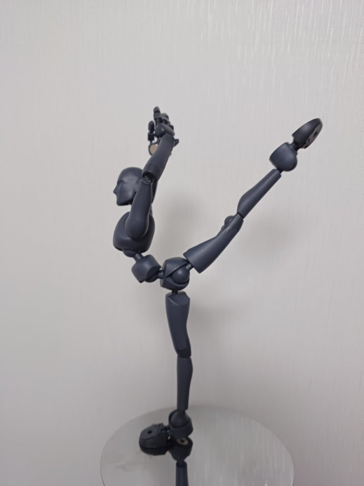 미국에서 건너온 스티키 본즈(Sticky Bones) 인체 인형 리뷰 : 네이버 블로그