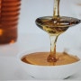 감로꿀 효능 나무에서 나오는 꿀이 있다?