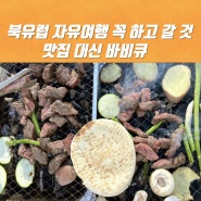 북유럽 자유여행 꼭 하고 갈 것 맛집 대신 바비큐