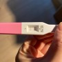 난임일기 4 - 피검사, 임신확인서