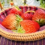 나비랑 딸기랑/전남 광주 근교 딸기 체험/딸기 수정벌