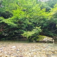 전북여행 : 운장산 자연휴양림 휴양관 입실 후 계곡 둘러보기, 결국 물놀이행
