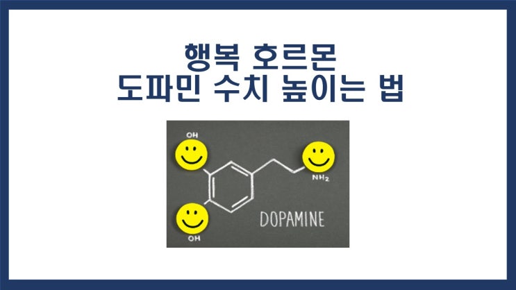 도파민 부족 뜻 부족 원인 증상 검사 부족질환 중독 검사 수치 높이는 법 신경전달물질 종류 분비 경로 : 네이버 블로그