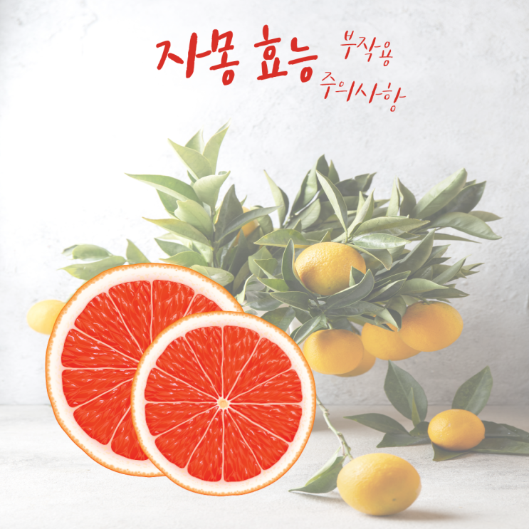 자몽 효능, 부작용, 주의사항 : 네이버 블로그
