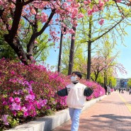 서울 아이와 갈만한 곳 : 서울어린이대공원 4월의 풍경