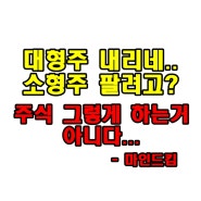 대형주와 중소형주 급등시기가 다른 이유와 돈의 흐름에 따른 파도타기 방법(본인의 견해이므로 참고만 하세요)