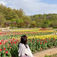 부천자연생태공원 | 서울 근교 튤립 구경할 만한 곳