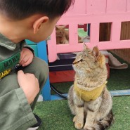 아이와 영흥데이트 사랑을 배우러 고양이역카페