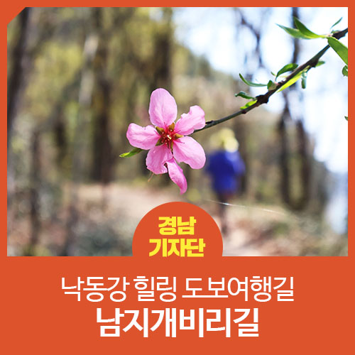 창녕 / 창녕 랜선 여행] 낙동강 힐링 도보여행길 남지개비리길