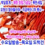 해탕 창립기념일~2차 행사~박달홍게~행사 공지