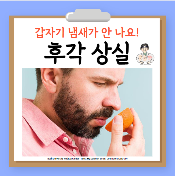 감기 후각 상실 후각장애 원인 치료 훈련 - 냄새가 안 나요 : 네이버 블로그
