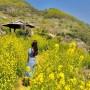 남해여행 가천다랭이마을 4월 유채꽃 한창(주차, 포토스팟) 23.04.12 방문