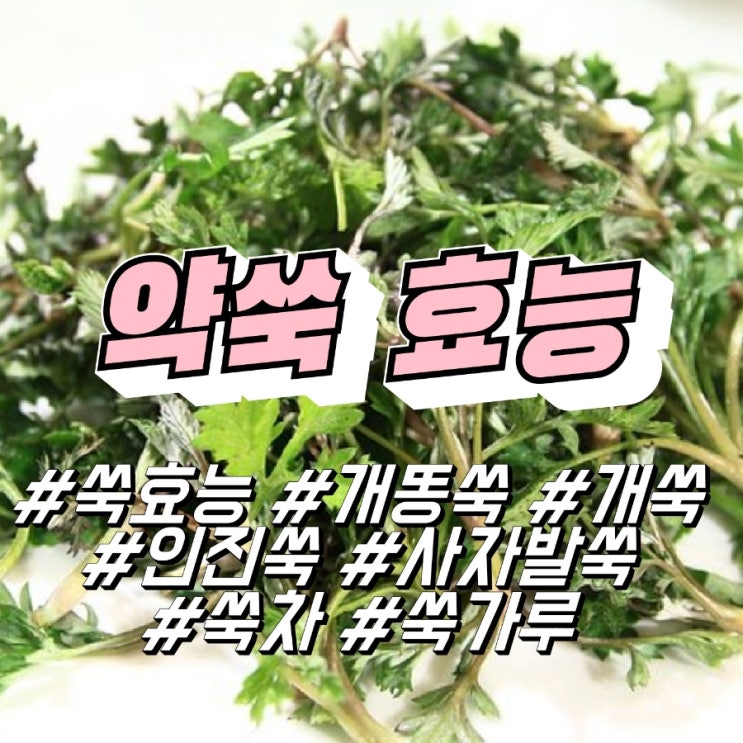 약쑥 종류: 개쑥 개똥쑥 인진쑥 강화사자말쑥 효능 (말린 쑥차, 쑥가루, 환) : 네이버 블로그