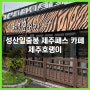 성산일출봉 앞 제주패스 카페패스가 가능한 수제 크림 도넛 전문 카페 제주호랭이