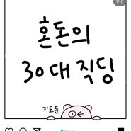 혼돈의 30대 직딩_jitotoon