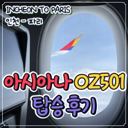 [항공] 아시아나 OZ501 좌석 기내식 아시아나 와이파이 인천-파리 탑승 후기