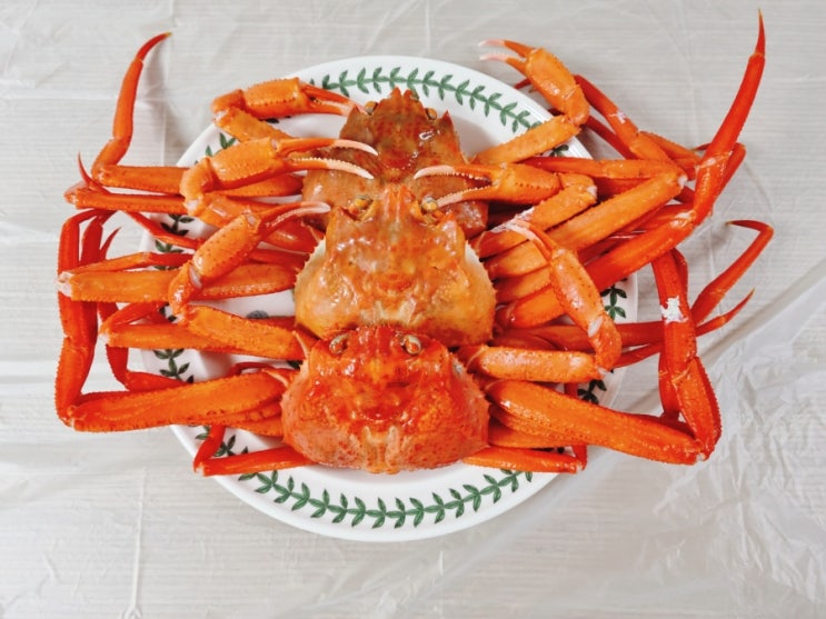 깐깐한어부 바로먹는 박달홍게 택배로 맛보는 홍게 : 네이버 블로그