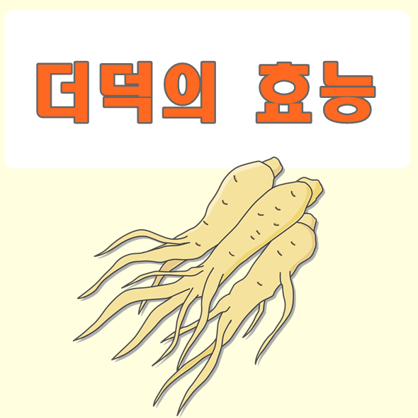 더덕의효능 산더덕 야생더덕 자연산더덕 사포닌 풍부한 더덕주 효능 : 네이버 블로그