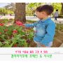 아기랑 서울숲 맛집: 갤러리아포레 포메인 & 시나본카페 (feat. 튤립 현황 / 위치 공유)