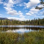 밴쿠버, 옐로나이프, 캐나다 로키 자유여행 47: 재스퍼 아네트호수(Lake Annette) 산책로를 걸으면서 야생화도 보다. (190903, 화, 재스퍼)