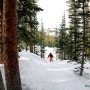 콜로라도 베일 스키여행 Last : 베일 스키장에서의 스키 영상과 사진들..! (2023년 3월)