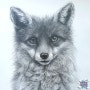 청주 미술학원 동물 연필 드로잉 털이 복슬복슬한 북극여우 그리기