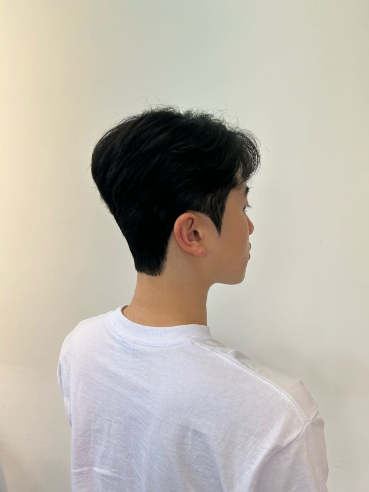 2023연예인남자머리 남자가일컷 대구가일컷 가일펌 대구시스루컷 삼덕동미용실 동성로미용실 형플라쥬 : 네이버 블로그