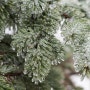[캐나다살기] 캐나다의 프리징레인(Freezing Rain) #노바스코샤 #울프빌 © 러버볼