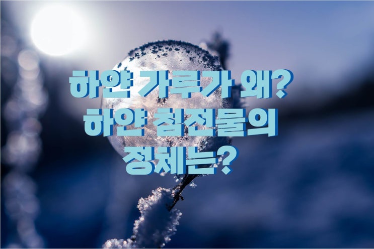 물을 마시는 데 하얀 침전물은 뭔가요? : 네이버 블로그