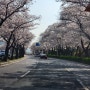 가슴 아픈 경주 남산 열암곡 마애불상