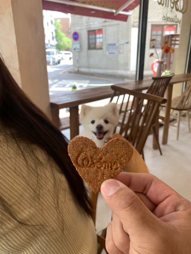 수원 브런치 카페 맛집 오젬므 방문 내돈내산 애견동반 가능