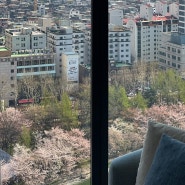 SOFITEL : 소피텔 앰배서더 서울 이그제큐티브룸 밀레짐, 석촌호수 로얄뷰를 느낄 수 있어요. (현대프리비아로 조금더 저렴하게 예약하기)