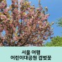 아이와 함께 가기 좋은 서울 어린이대공원 겹벚꽃 위치