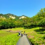 서울 노원구 불암산 철쭉동산 힐링타운 철쭉제 후기
