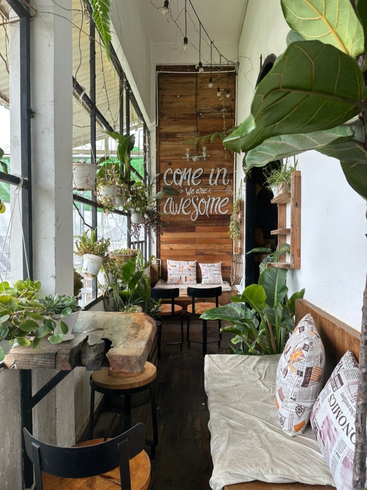 달랏_플랜테리어 예쁜 현지 카페 '우드스탁 커피(Woodstock coffee)', 나....