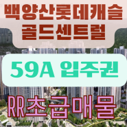 백양산롯데캐슬골드센트럴 59A 입주권 급매물