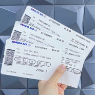 [아기와 해외여행] 6개월 아기와 일본여행 꿀팁 & 아기 여권 발급부터 알아두면 유용한 정보 정리!