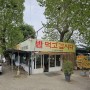 [대구동구] 낮술 하기 좋은 가성비 동촌유원지밥집 밥먹고갑시다.