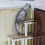 높은 곳에서 뛰어내리는 고양이를 위한 아이템 몇 가지 - 폭이 넓은 주방매트, 셀프로 스툴계단 만들기