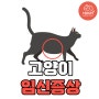 고양이 임신증상 임신주기도 언제?