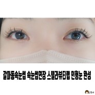갈마동속눈썹 속눈썹연장 스텔라뷰티랩 인형눈 완성